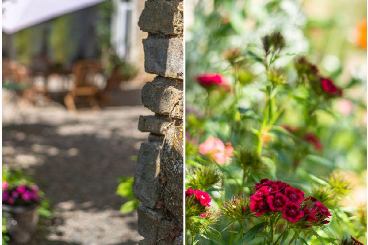 jardin jardin